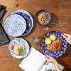Selamica Ceramic Dinner Plates set of 4, 10.5 Inch Ceramic