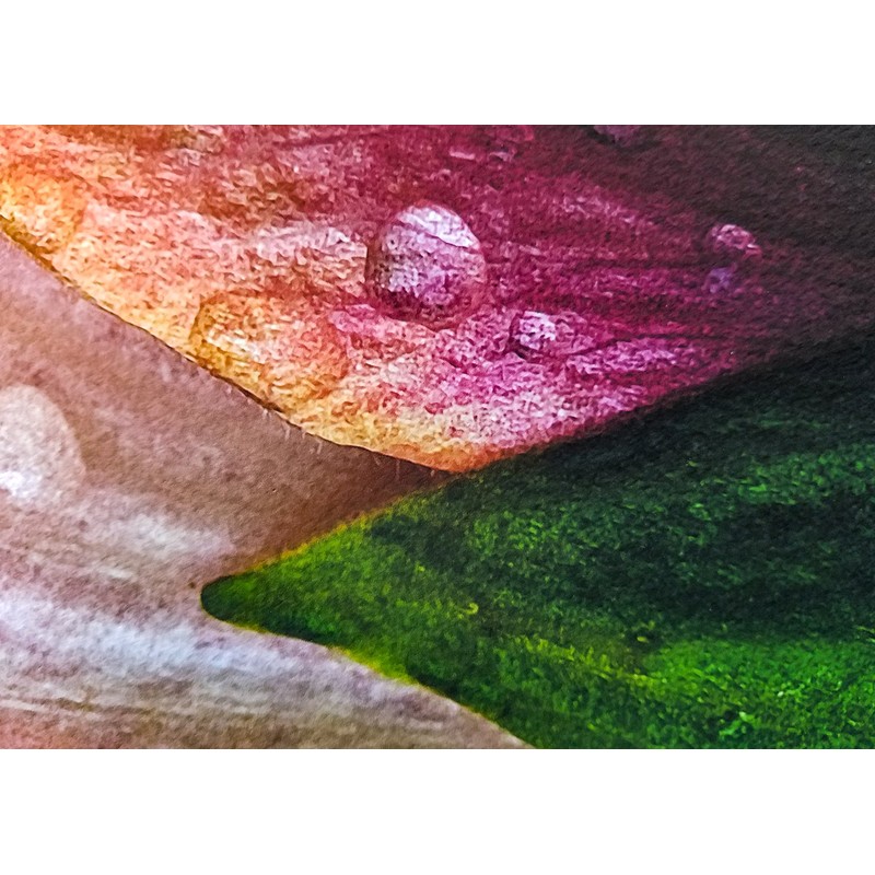 13" X 19" Cold Press Watercolor Fine Art Inkjet Paper