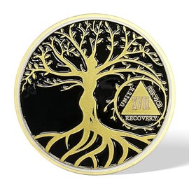 AtSKnSK 17 Years Sobriety Chip Tree of Life AA Coins and Medallion Alcoholics Anonymous Coin Recovery Anniversary Token Sobriety Gifts for Women Men