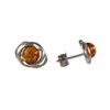 Holi Daygift Shops – Amber Sterling Silver 925 Earrings