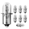 Ameri 19.2 VOLT Flashlight/Worklight Replacement XENON Bulbs 19v for CRAFTSMAN(8pack)