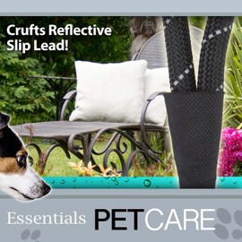 VFM/Crufts Reflective Slip Lead, 150cm, Black