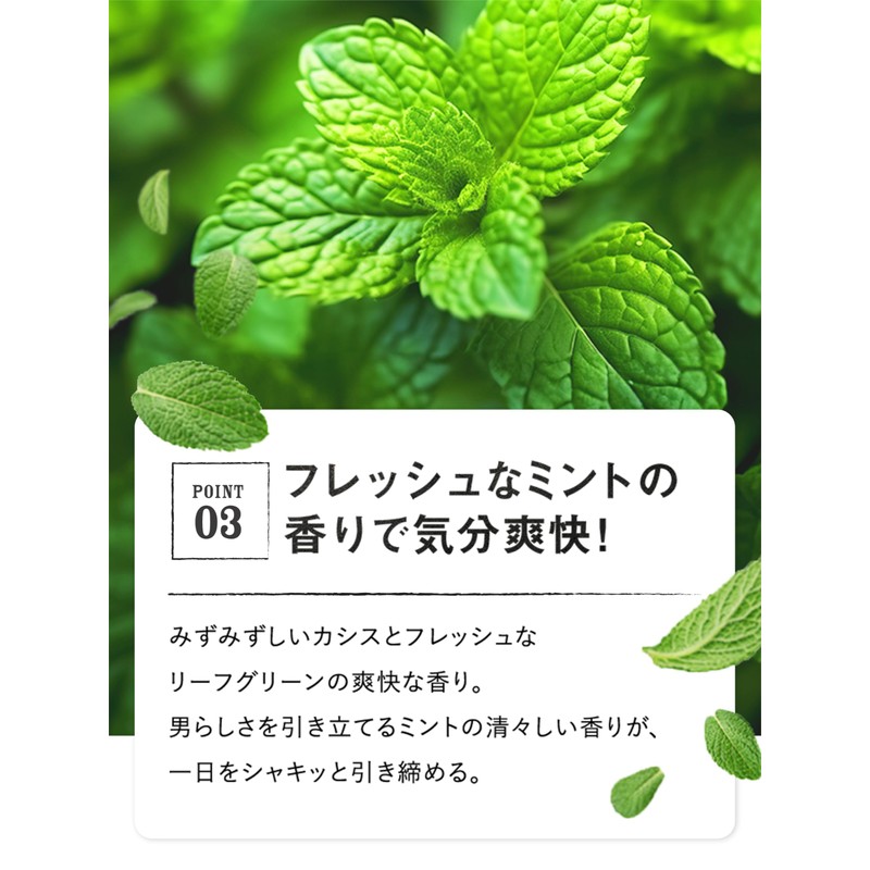 3D Volume Up Shampoo EX [Gentle Mint Scent] MARO Maro