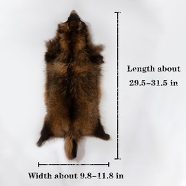 Genuine Natural Tanned Raccoon Hides Fur Pelts Graded 1 Real Raccoon Skin Hides for Fly Tying Crafts Fur Coats Trapping Fluffy Fur Taxidermy Decor Length 29.5-31.5inch Width 9.8-11.8inch Brown