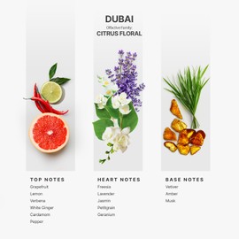 Aromaplan Hotel Scent Diffuser Oil, Dubai 15 mL, 0.5 Fl.oz- Luxury Hotel Fragrance Oil in Dropper Bottle for Aromatherapy -Hotel Essential Oil Fragrance Scent Diffuser Oil, USA Made