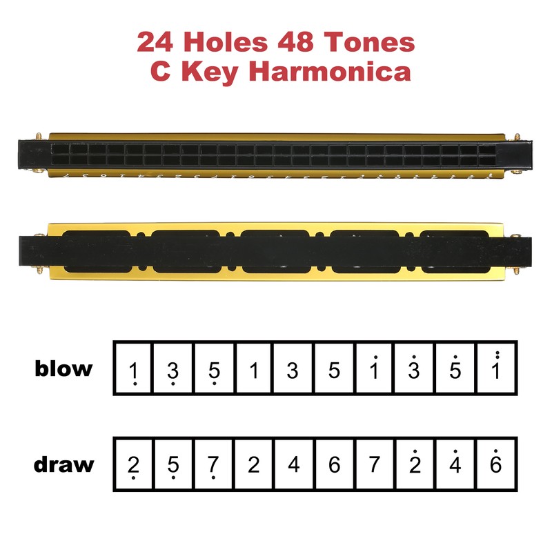 Harmonica Professional Harp Armonica Key of C 24 Hole Polyphony