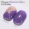 Double Rhythm 15ML Glitter Gel Polish Shimmer Reflective Holographic Color