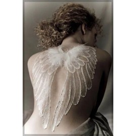 Pros-Aide Adhesive Body Skin glue Cosplay Prosthetic 1 oz