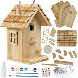 DIY Birdhouse Kit, Wooden Bird House for Adults to Build, DIY Bird House for Outside, Outdoor Woodworking Adult Crafts