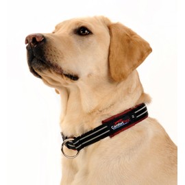ComfortFlex Premium Padded Martingale Dog Collar – Reflective Waterproof Slip-On Limited Slip Collar for Gentle Control & Escape Prevention - Large, Bordeaux