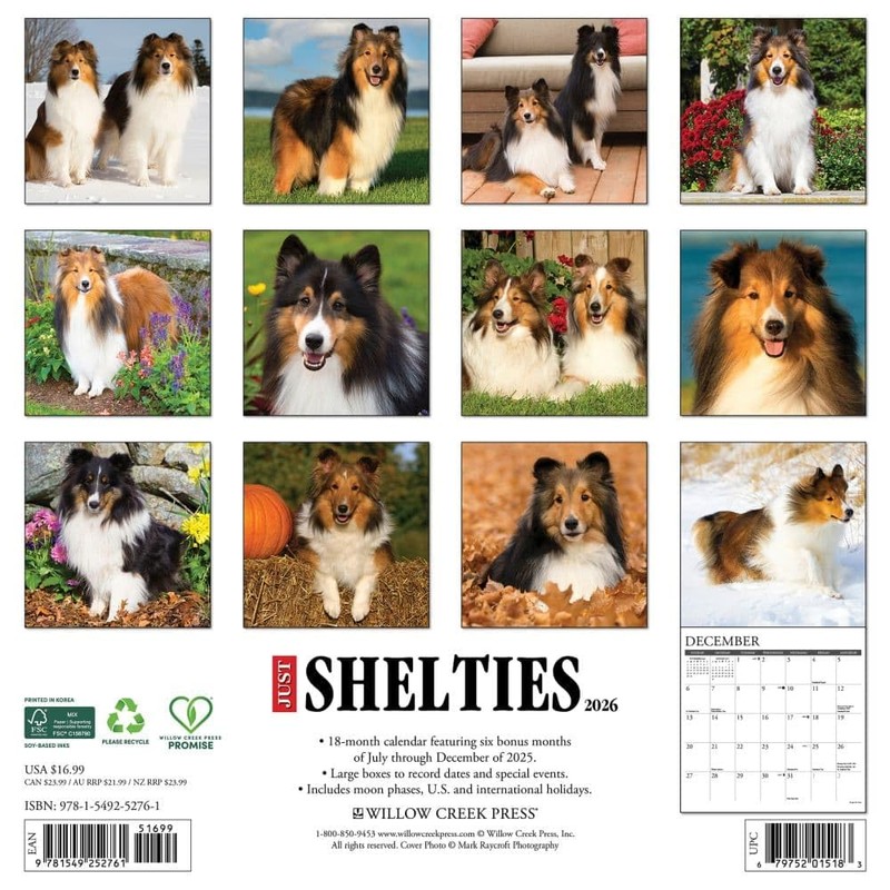 Willow Creek Press, Just Shelties 2026 Wall Calendar, 12'' X
