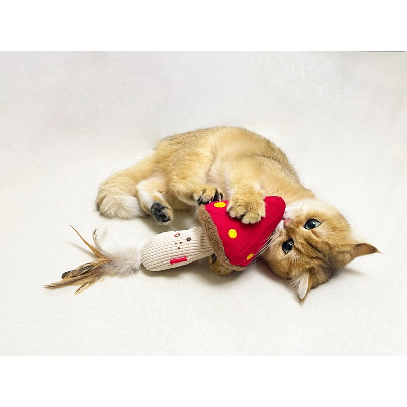 GiGwi Miaozangwan Carrot