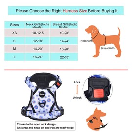 Petmolico No Pull Dog Harness and Leash Set, No Choke 4 Leash Attchments Easy Control Handle Soft Padded Reflective Vest Dog Harness for Small Dog Breed, Daisy Small