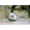 Alessi Olive Oil Taste-huile