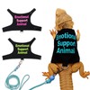 Bearded Dragon Lizards Clothes with Leash Set - Cute Lizard