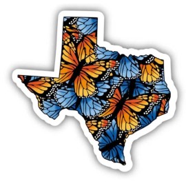 Big Moods Butterfly Texas Vinyl Sticker