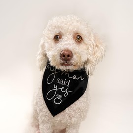 My Mom Said Yes Dog Bandana | 100% Cotton Triangle | Made in USA | Wedding Photo Prop | Bridal Shower | Engagement Announcement | Navy, One Size (383)