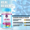 Gut Vita (2 Pack) Gut Vita, Gut Vita Digestion &