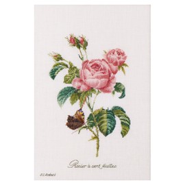 Thea Gouverneur - Counted Cross Stitch Kit - Rose Redouté - Aida - 18 Count - Embroidery Kit for Adults - DMC Embroidery Threads and Other Cross Stitch Supplies Included - 2030A