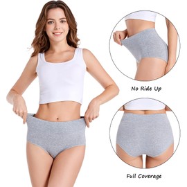 HAVVIS Women's Briefs Underwear Cotton High Waist Tummy Control Panties Rose Jacquard Ladies Panty Multipack (Briefs 03-5 Pack - 3black,2grey, Small)