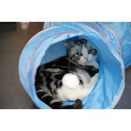 PetLike S Way Cat Tunnel Collapsible Pop-up Pet Tube Hideaway Play Toy with Ball (S-Way, Blue)