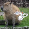Capybara Ringe Sterling Silber Herz Capibara Ring Capybara-Schmuck Geschenk für