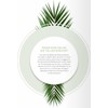 DeinPack 25 Palm Leaf Plates Square 24 x 24 x