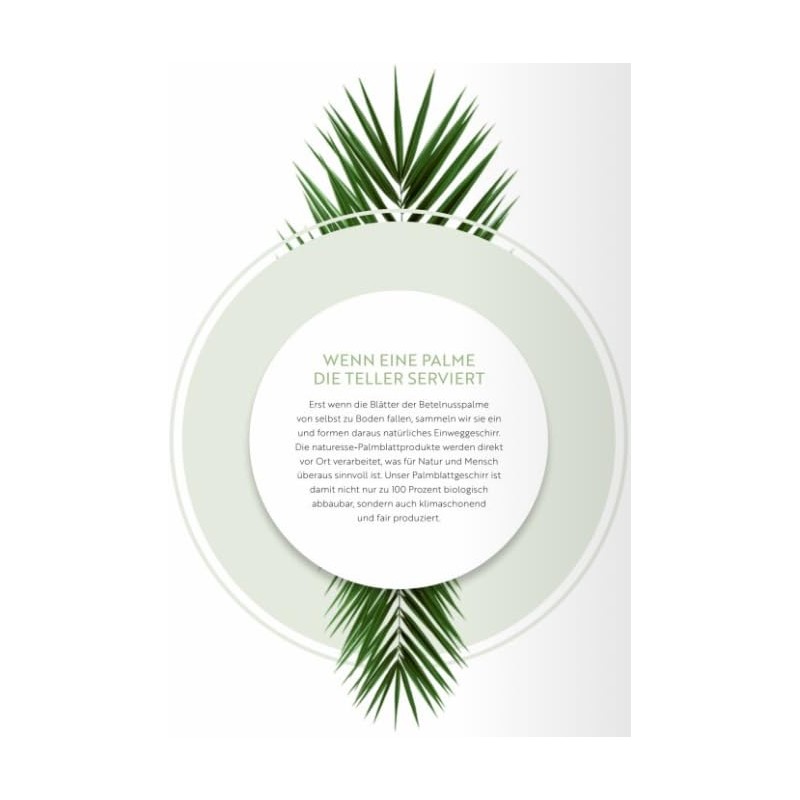 DeinPack 25 Palm Leaf Plates Square 24 x 24 x