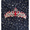 Dgasin Retirement Party Set - Red Tiara & Sash for