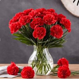 KaBloom - 24 Red Carnation With Vase - Fresh Flowers for Birthday, Valentine's & Mother's Day