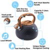 Foedo Tea Kettle, Stainless Steel Whistling Tea Kettle,3.2Qt Tea Pot