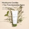 Mary&May Houttuynia Cordata + Tea Tree Cleansing Foam 150 ml