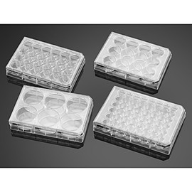 CORNING 353226 Falcon Flat Bottom TC-Treated Multiwell Cell Culture Plate with Lid, Sterile, 24 Wells, 2 cm² Cell Growth Area