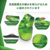 Supporter, Insole, Shock Absorption, Arch Insole, Next-to-the-foot Shoes, Shock Absorption,