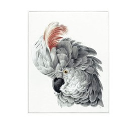 Cockatoo Bird Journal with Dot Grid Paper and Index: a pretty journal with no words on the cover