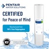 Pentair Pentek DGD-5005-20 Big Blue Water Filter, 20-Inch Whole House
