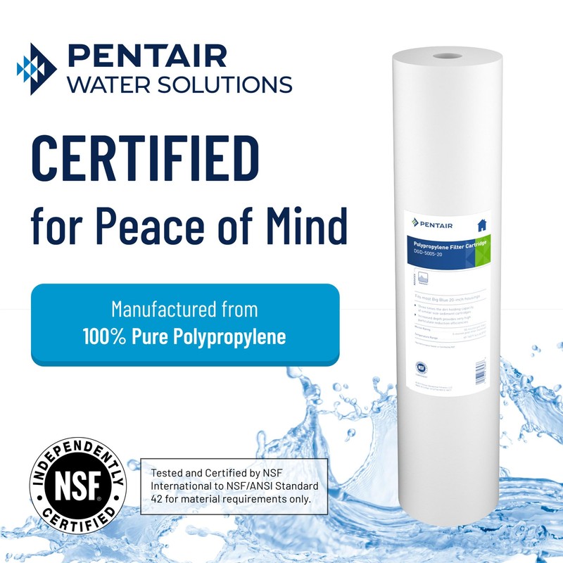 Pentair Pentek DGD-5005-20 Big Blue Water Filter, 20-Inch Whole House
