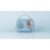 Roxel RFM01 Retro FM Radio Party speaker – Timeless Design,