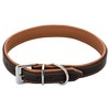 Schnüffelfreunde Fun Line Leather Dog Collar for Large, Medium and