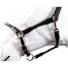 HKM by Reiterladen24 Basic Line Leather Headcollar Round Stitched Black