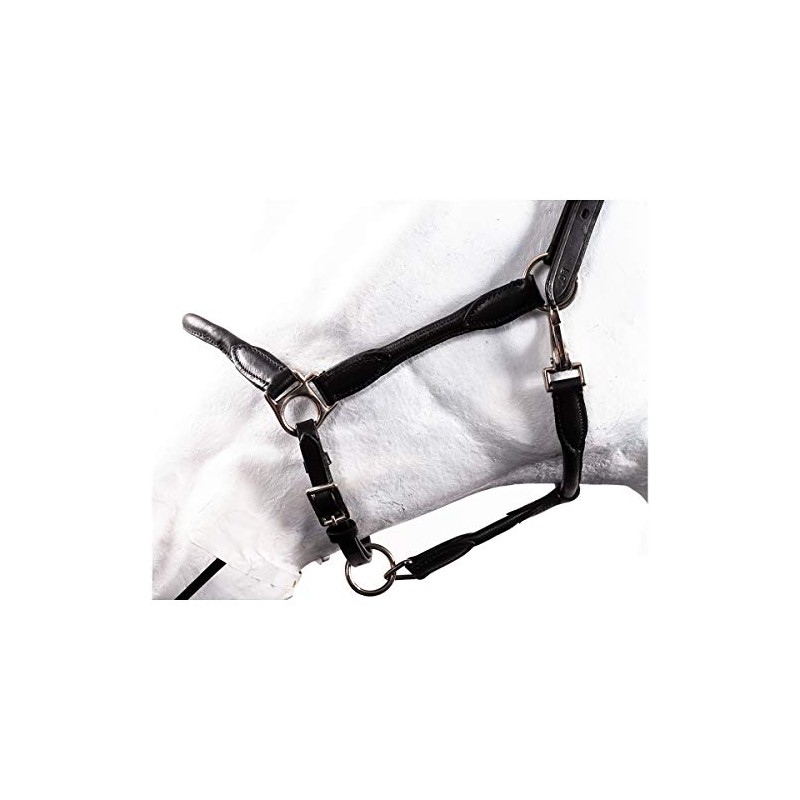 HKM by Reiterladen24 Basic Line Leather Headcollar Round Stitched Black
