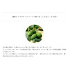 Do Organic Pure Oil Organic Olive Serum Body