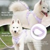 Sunraymascota No Pull Dog Harness, Puppy Vest with Front Clip