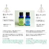 Massage Serum INTO (10 mL, Rhythm)