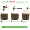 UNIFAMILY 10pcs Copper Nails for Killing Trees Stump Root, 3.15
