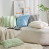DEELAND Pack of 2,Double-Sided Faux Fur Plush Decorative Throw Pillow
