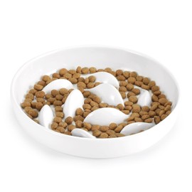 IDOGCHEW Anti-sling ceramic bowl, anti-slinging bowl cat with high edges to prevent falling out and easy to clean, slow feeder for cats and small dogs, white