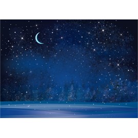 Fmarui 10x8ft Winter Wonderland Night Backdrop Starry Night Sky Snowflakes Photography Background Merry Christmas Happy New Year Party Banner Decoration Photo Studio Props