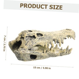 GRIRIW Resin Dinosaur Skull Statue Decorative Figurine for Home Office Decor Premium Quality Desktop Dinosaur Skull Ornament Unique Present Chic Landscape Decoration