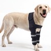 Allroaring Dog Front Leg Elbow Brace for ED, Joint Support